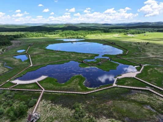 內(nèi)蒙赤峰三哥養(yǎng)牛場(chǎng)電話號(hào)碼-第1張圖片