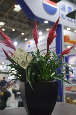 赤峰花卉水族館電話號碼多少-第1張圖片