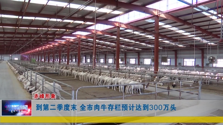 赤峰市羊肉經銷商電話號碼-第1張圖片