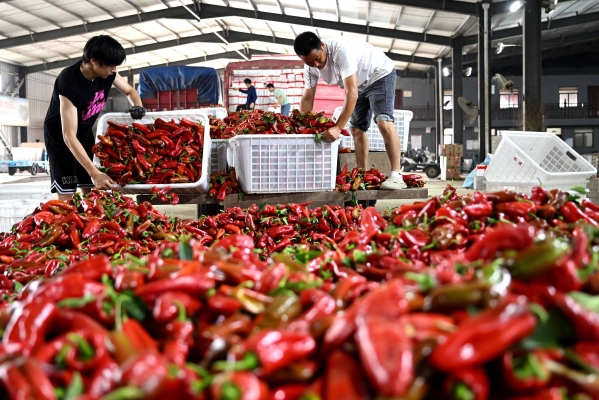 赤峰市新華食品廠(chǎng)電話(huà)號(hào)碼-第1張圖片