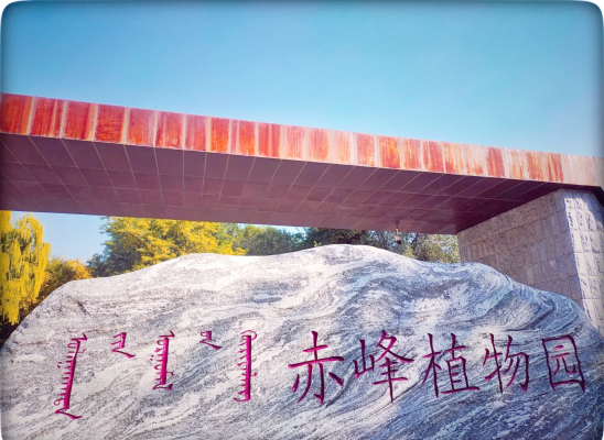 赤峰老秦送雞蛋電話號碼查詢-第1張圖片