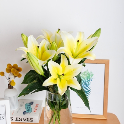 赤峰全季鮮花店地址電話號(hào)碼-第1張圖片