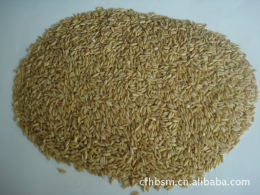 赤峰市收購蕓豆的地方電話是多少-第1張圖片