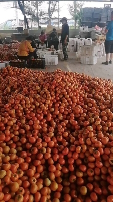 赤峰賣鐵皮電話多少錢啊-第1張圖片