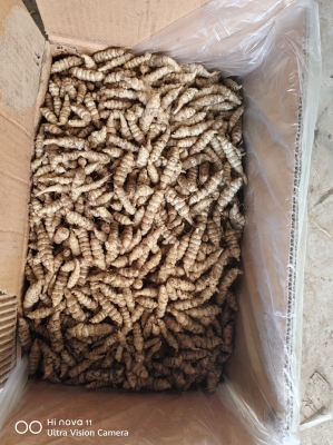 赤峰鑼絲批發(fā)電話號碼多少-第1張圖片