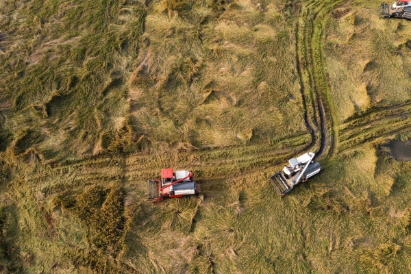 赤峰市東林鎮(zhèn)政府電話號(hào)碼-第1張圖片