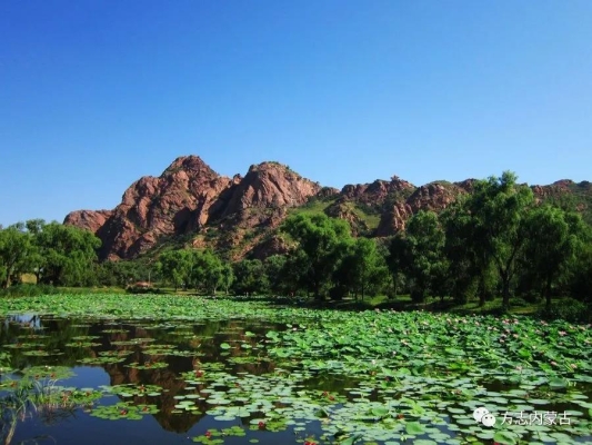 赤峰郊區(qū)東山鄉(xiāng)政府電話號碼-第1張圖片