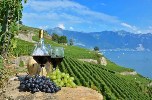 赤峰鴻風馬術老宮地址電話號碼-第1張圖片