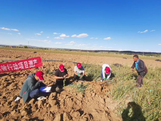 赤峰藥材公司-第1張圖片