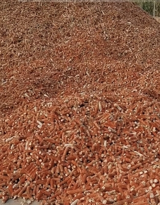 赤峰回收玉米皮的地方電話號(hào)碼-第1張圖片