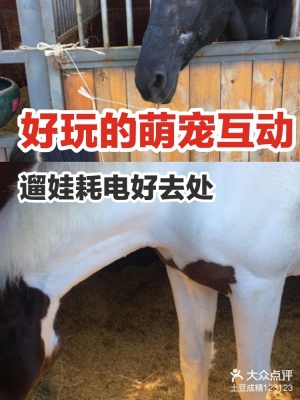 赤峰萌寵互動中心電話多少號-第1張圖片