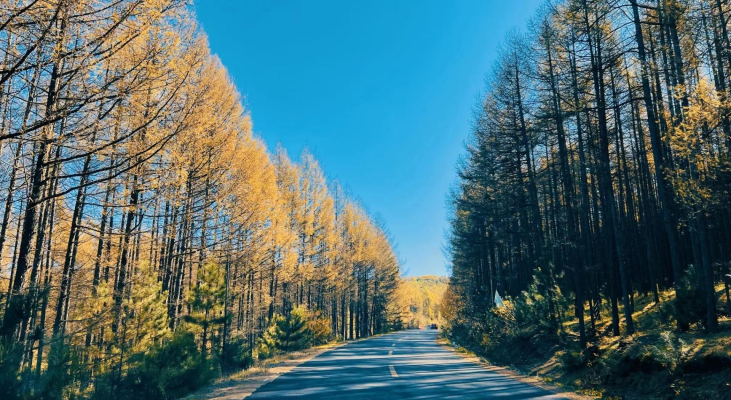 赤峰市美林谷風(fēng)景區(qū)-第1張圖片