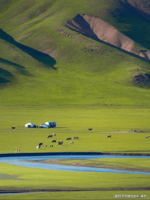 赤峰阿郎煙酒店電話號碼查詢-第1張圖片