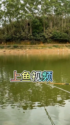 赤峰水庫魚批發(fā)市場電話號碼-第1張圖片