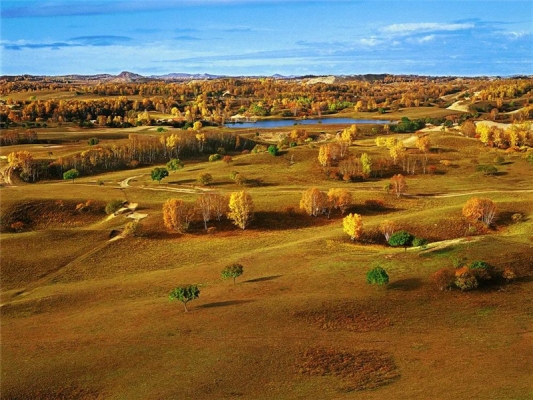 赤峰山地養(yǎng)豬場(chǎng)地址電話號(hào)碼-第1張圖片