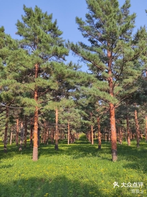 赤峰環(huán)球動(dòng)物園電話多少號(hào)-第1張圖片