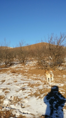 赤峰衣家營商貿(mào)城電話號碼-第1張圖片