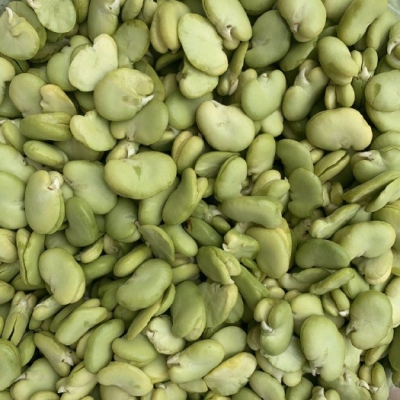 赤峰葉菜批發(fā)電話號(hào)碼多少-第1張圖片