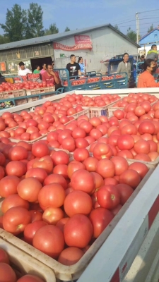 內(nèi)蒙赤峰寧城縣物流-第1張圖片