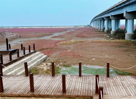 赤峰哪里有海綿廠-第1張圖片