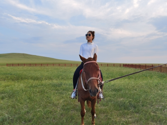 赤峰狼圖騰藝術(shù)團招聘電話是多少-第1張圖片