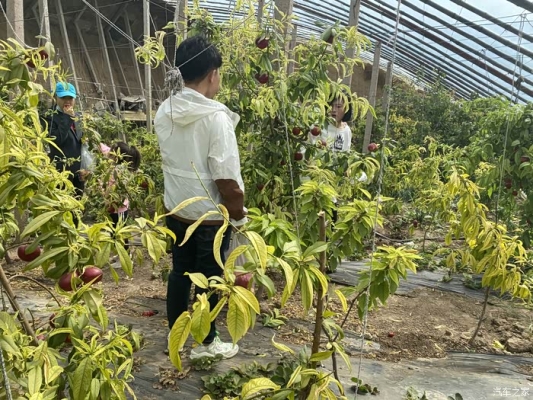 赤峰親嘴調(diào)酒師電話號碼查詢-第1張圖片