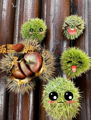 赤峰市小橘子超市電話號碼-第1張圖片