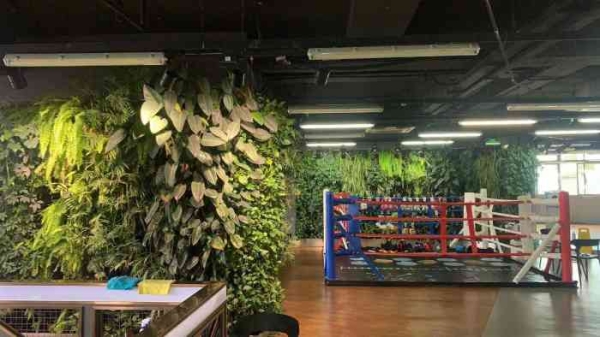 赤峰工作室招人電話號碼是多少-第1張圖片