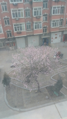 赤峰市天義紋身店電話號碼-第1張圖片