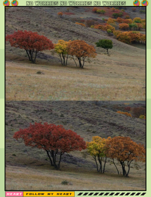 赤峰拍照片地方推薦電話是多少-第1張圖片