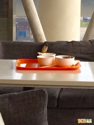 赤峰洗碗公司電話多少號(hào)碼-第1張圖片