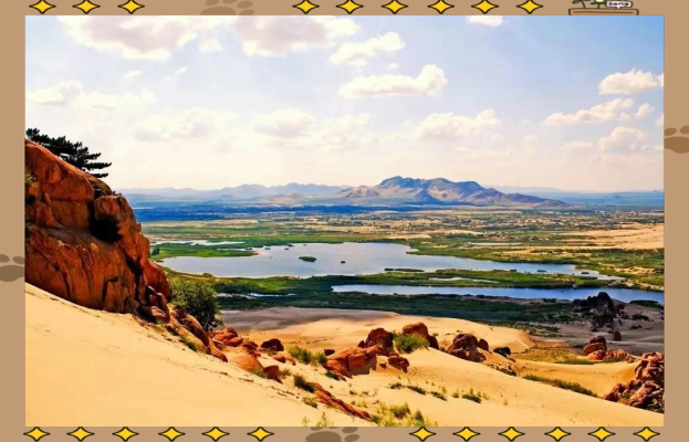 赤峰旅游托亞之家電話號(hào)碼-第1張圖片