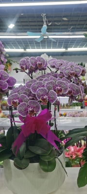 赤峰老府拼車電話地址查詢號碼-第1張圖片