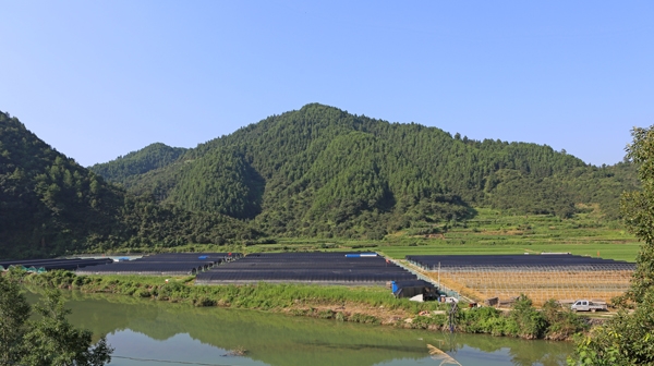 赤峰牛蛙養(yǎng)殖場電話號碼查詢-第1張圖片