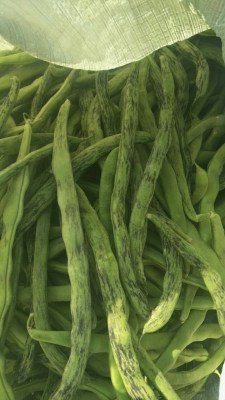 赤峰牛頭肉批發(fā)電話號碼查詢-第1張圖片