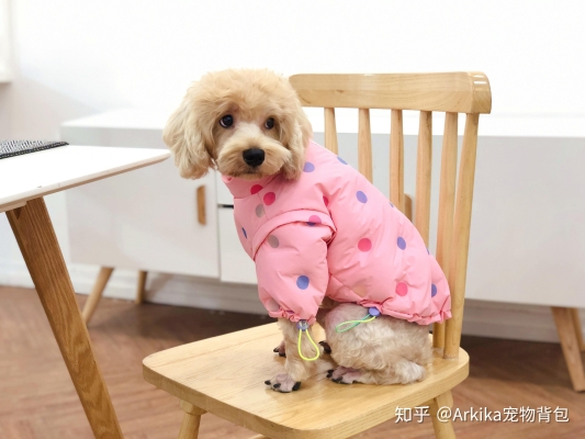 赤峰市寵物用品推薦電話號碼-第1張圖片