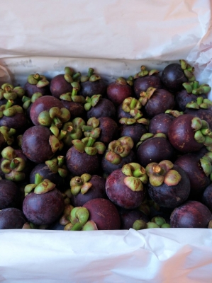 赤峰山竹批發(fā)電話是多少號-第1張圖片