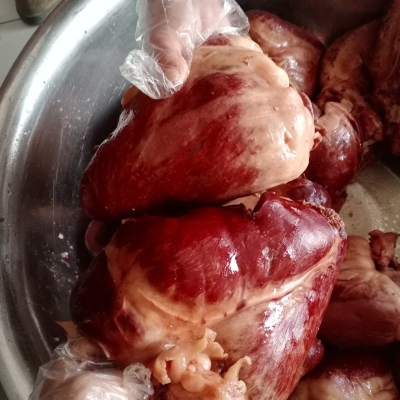 赤峰驢蹄批發(fā)電話號碼多少-第1張圖片