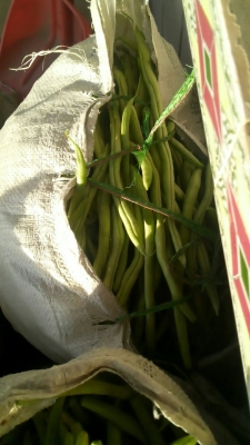 赤峰松山區(qū)雪糕廠電話號碼-第1張圖片