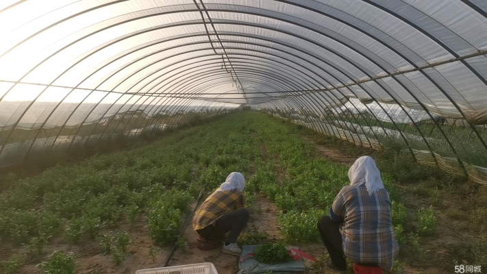 赤峰市如意家園電話號碼查詢-第1張圖片