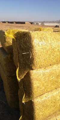 赤峰德佳飼料經(jīng)銷處電話號碼-第1張圖片