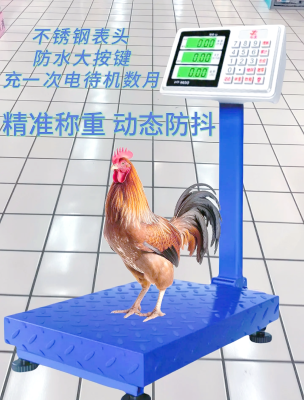 赤峰商用電子秤維修電話號(hào)碼-第1張圖片