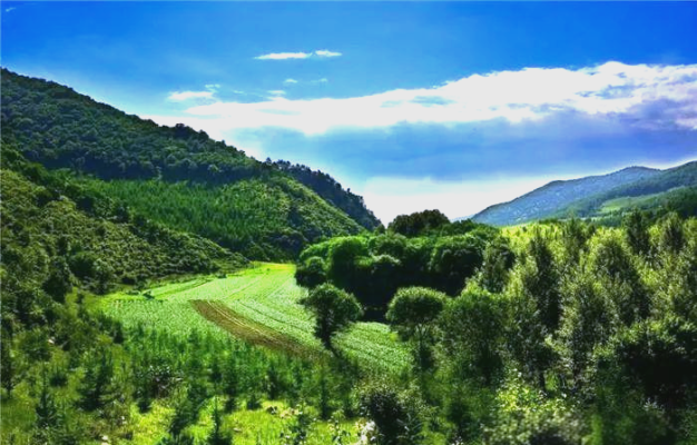 赤峰喀喇沁居然之家電話號碼-第1張圖片