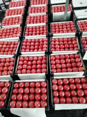 赤峰二道街水果超市電話號碼-第1張圖片