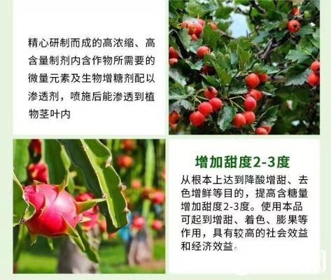 赤峰草莓增甜劑廠家電話號碼-第1張圖片