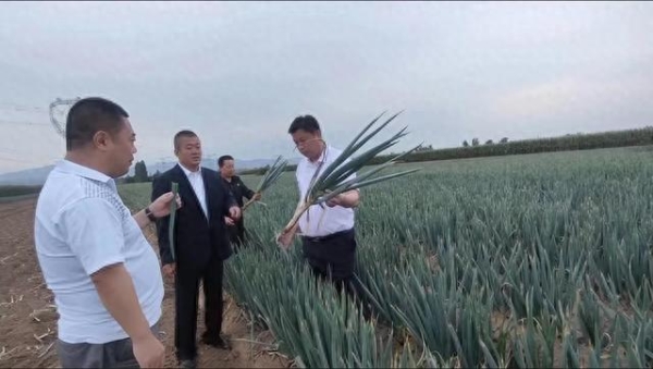 赤峰易貨公司-第1張圖片