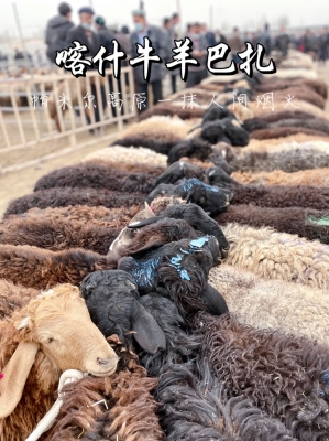 赤峰八里罕牛羊市場電話號碼-第1張圖片