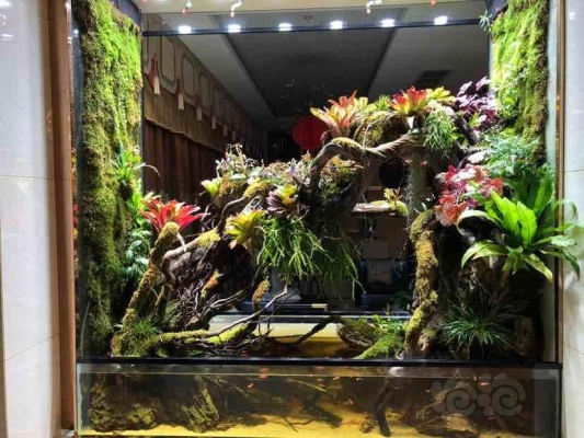 赤峰雨林造景公司地址電話號(hào)碼-第1張圖片