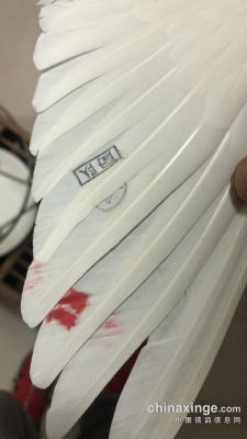 赤峰市春輝鴿舍地址電話號(hào)碼-第1張圖片