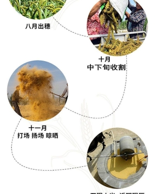 赤峰酸菜食品廠電話號(hào)碼查詢-第1張圖片